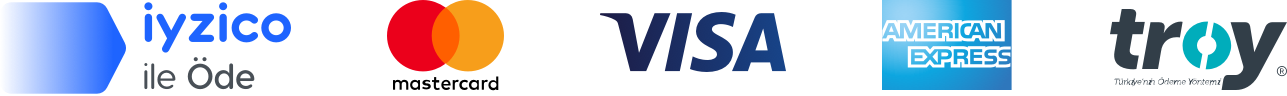 Visa Logo